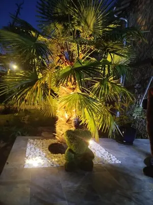 Jardin de l'établissement La BERGERIE
