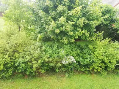 Jardin de l'établissement Côté Sarah