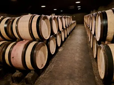 Plan de l'établissement Gîte l'Orée du Château Beaune-Vignoles 3 étoiles