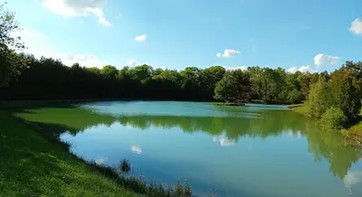 Paysage naturel près de le camping