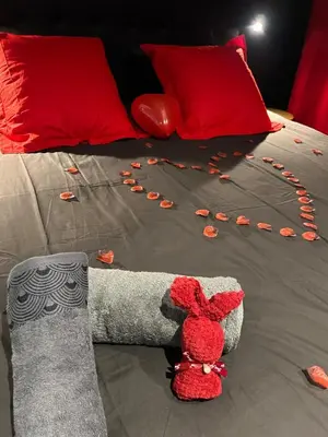 Coin salon dans l'établissement Luxueux appartement avec jacuzzi dans le centre de Macon ,snacking et cadeau