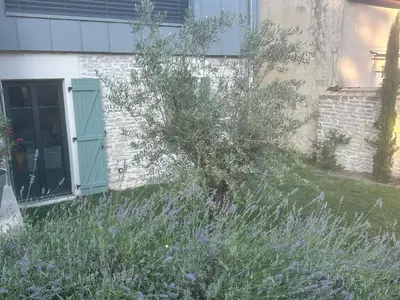 Jardin de l'établissement Le nid du parc