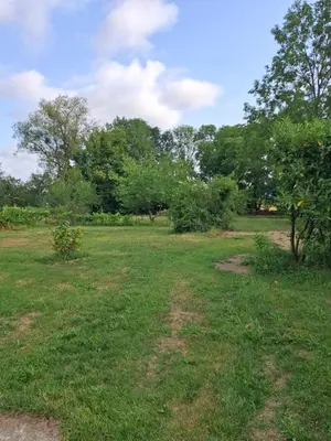 Paysage naturel près de la maison de vacances