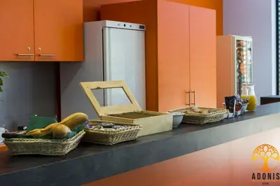 Cuisine ou kitchenette dans l'établissement Adonis Dijon Maison Internationale
