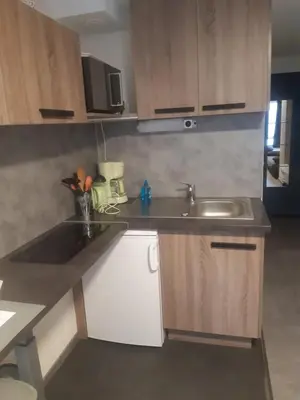 Cuisine ou kitchenette dans l'établissement Apartment 316 Les Logis de Paray