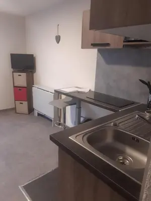 Cuisine ou kitchenette dans l'établissement Apartment 316 Les Logis de Paray