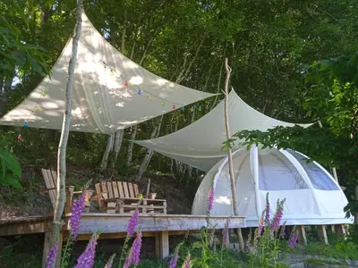 Jardin de l'établissement Wig Wam Morvan