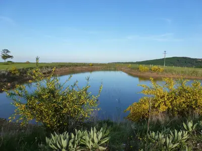 Paysage naturel près de la ferme