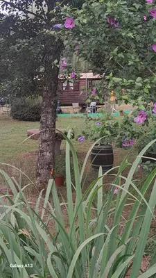 Jardin de l'établissement La roulotte au bord de l'étang