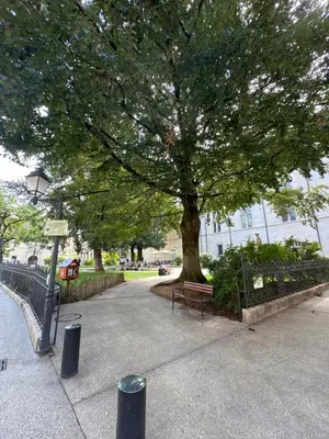 Jardin de l'établissement Linda Studio - Historic Center