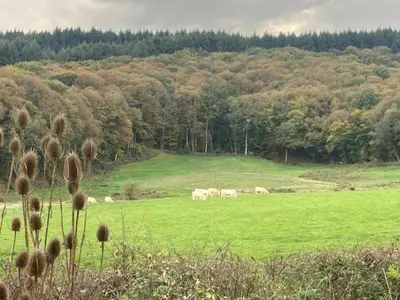Paysage naturel près de la maison de vacances