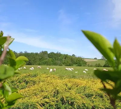 Paysage naturel près de l'appartement