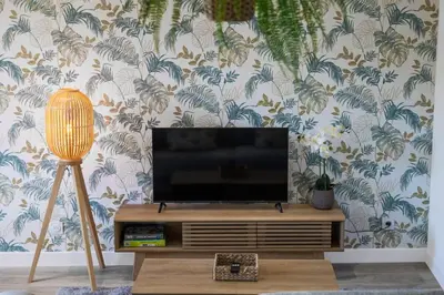 Télévision ou salle de divertissement dans l'établissement La Canopée NATURE & ESPRIT CHIC Neuf et Parking facile