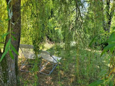 Jardin de l'établissement Chambre d'Hôte de Rozessences
