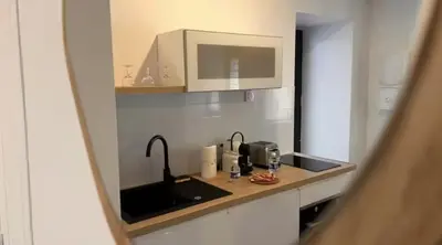 Cuisine ou kitchenette dans l'établissement Le Repaire Calme Central Cosy