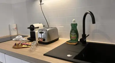 Cuisine ou kitchenette dans l'établissement Le Majestueux Calme Central Chic