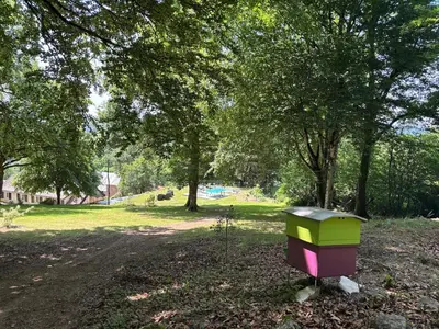 Jardin de l'établissement Maison des tilleuls