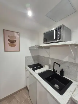 Cuisine ou kitchenette dans l'établissement Studio Dijon centre et facultés