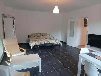 Télévision ou salle de divertissement dans l'établissement O'Couvent - Appartement 242 - 1 chambre - 72m2 - Quatrième étage