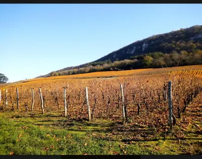 Paysage naturel près de le B&B/chambre d'hôtes