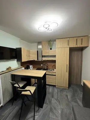 Cuisine ou kitchenette dans l'établissement Studio