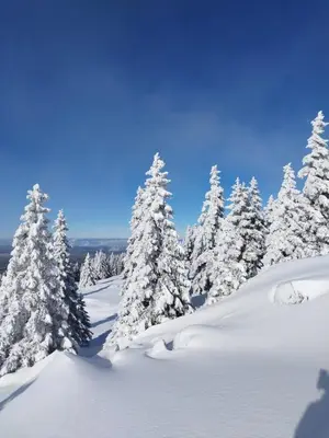 L'établissement Gîte de la Diligence en hiver