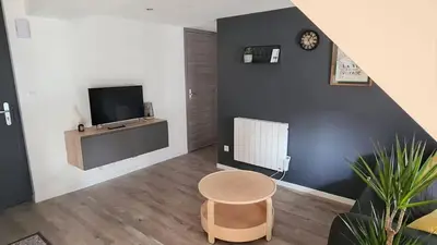 Télévision ou salle de divertissement dans l'établissement Joli appartement proche place Wilson - centre