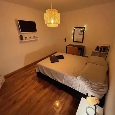 Appartement T2 rénové facultés 5 voyageurs