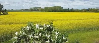 Paysage naturel près de l'appartement