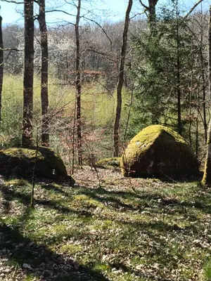 Paysage naturel près de la maison de vacances