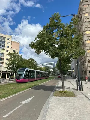 Plan de l'établissement Bel appartement spacieux , lumineux, proche Dijon centre auditorium