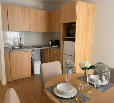Cuisine ou kitchenette dans l'établissement Zenao Appart'hôtels Mâcon