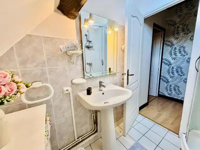Salle de bains dans l'établissement Le duplex cosy - 65m2 - Proche Gare TGV et RCEA