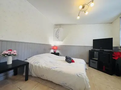 Télévision ou salle de divertissement dans l'établissement Le petit studio - 1 chambre - Proche Gare TGV et RCEA