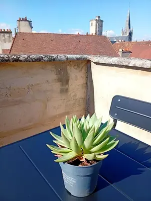 Balcon ou terrasse dans l'établissement Lemullier de Bressey - Hôtel particulier au coeur de Dijon