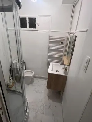 Salle de bains dans l'établissement Séjour authentique dans un appart cosy à Dijon