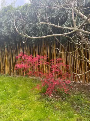 Jardin de l'établissement B&B Au Pain Quotidien