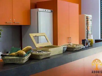 Cuisine ou kitchenette dans l'établissement Adonis Dijon single apartment