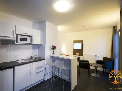 Cuisine ou kitchenette dans l'établissement Adonis Dijon single apartment