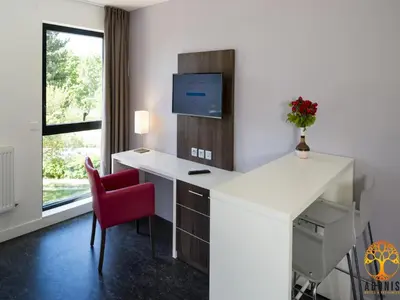 Cuisine ou kitchenette dans l'établissement Adonis Dijon Double apartment