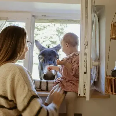 Gîte à la ferme - Animaux et séjour ressourçant