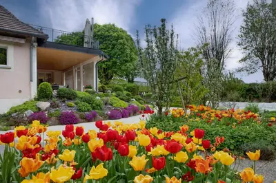 Jardin de l'établissement Nuits et Jardin