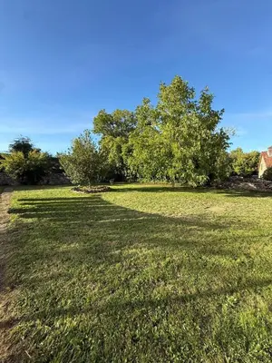 Jardin de l'établissement Chez les Loulous