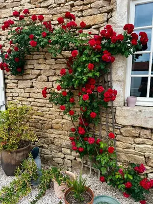 Jardin de l'établissement La Ferme de la Bergerie