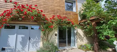 Jardin de l'établissement Studio Nature