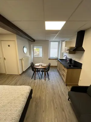 Cuisine ou kitchenette dans l'établissement Les Pichies, Studio Dadoum, Centre ville