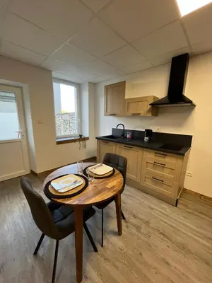 Cuisine ou kitchenette dans l'établissement Les Pichies, Studio Dadoum, Centre ville