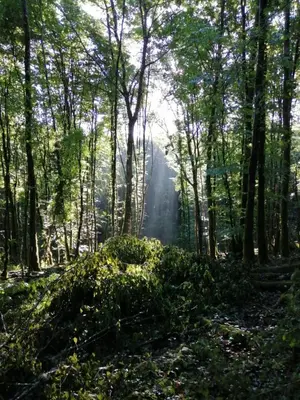 Paysage naturel près de la maison de vacances