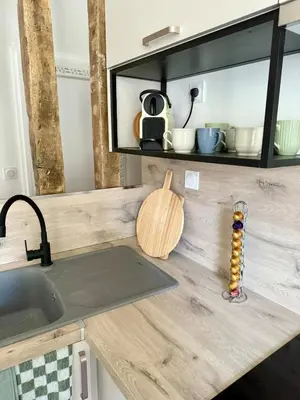 Cuisine ou kitchenette dans l'établissement Perfect pied-à-terre in Dijon