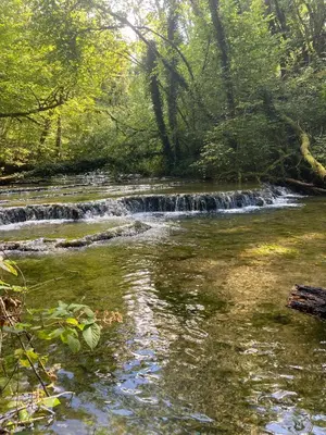Paysage naturel près de l'appartement